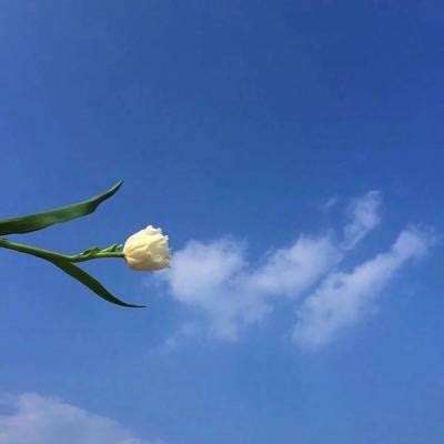 火柴人反恐模拟器游戏下载